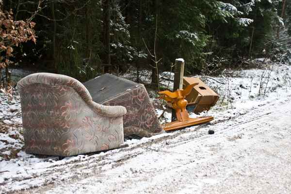 Unrat im Wald