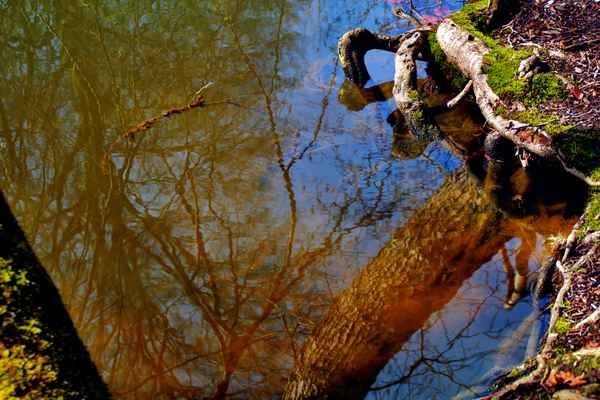 Natur am Wasser