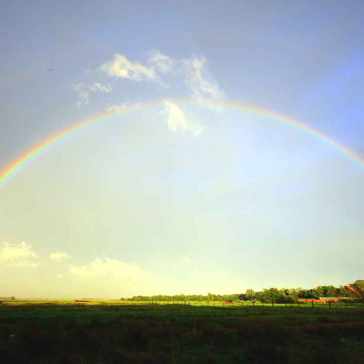 Viel Regen - Viel Bogen