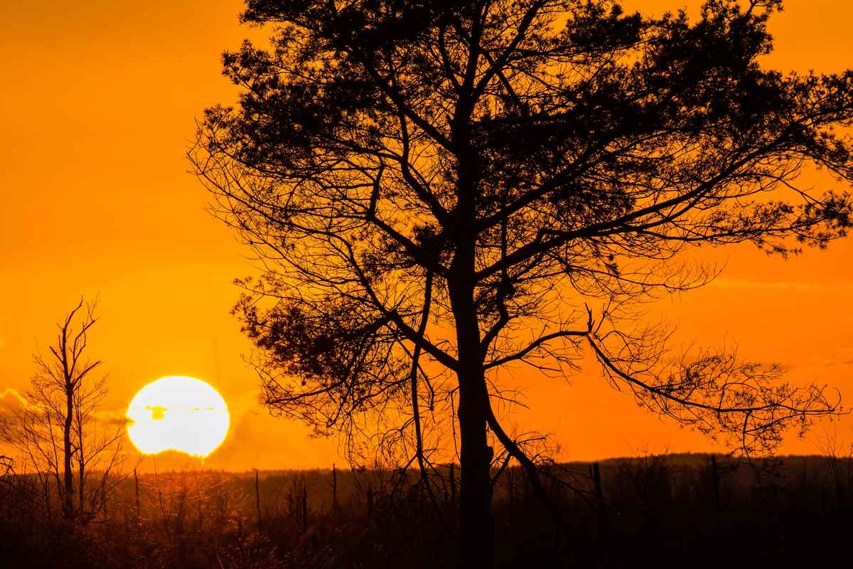 Sonnenuntergang im Goldenstedter Moor