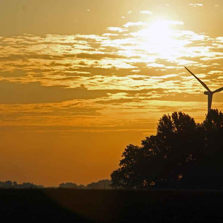Sonnenaufgang Münsterland