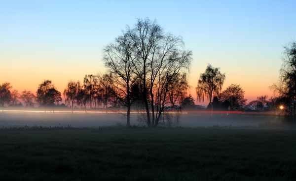 nebel in den wiesen  zur blauen stunde 2