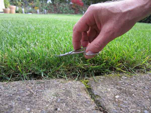 Rasen mit der Nagelschere schneiden