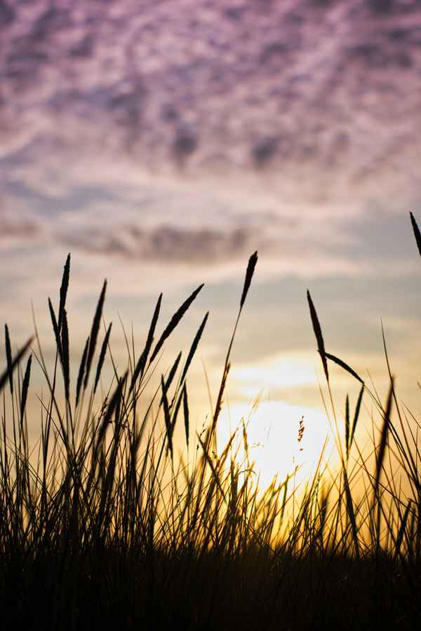 Strand von Hals