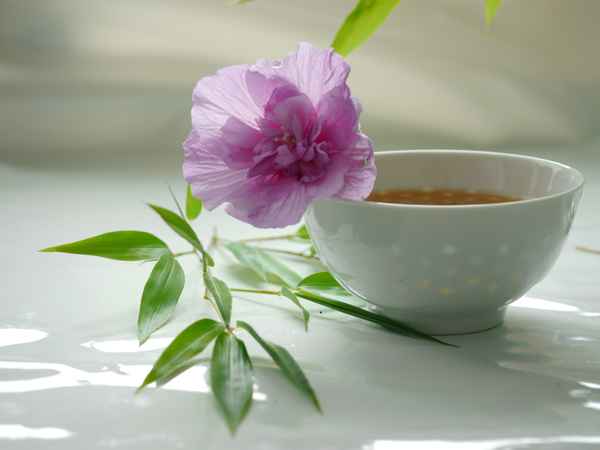 den Augenblick genießen . . .