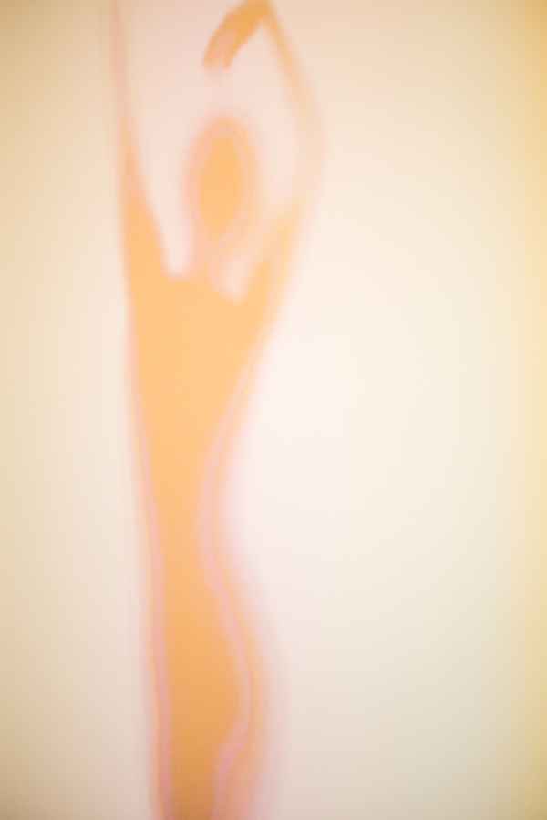 Weiche Silhouetten (beige) 05