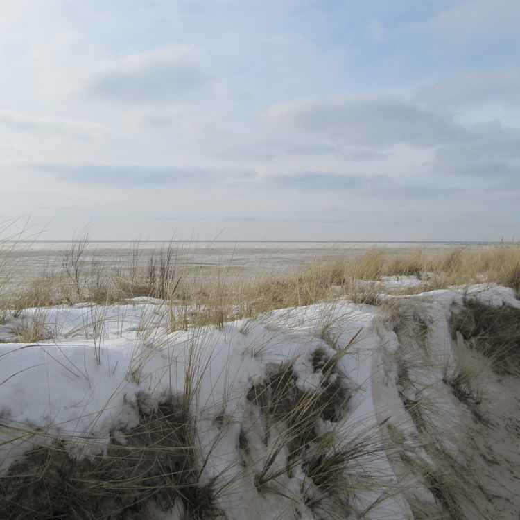 Schnee auf Dünen