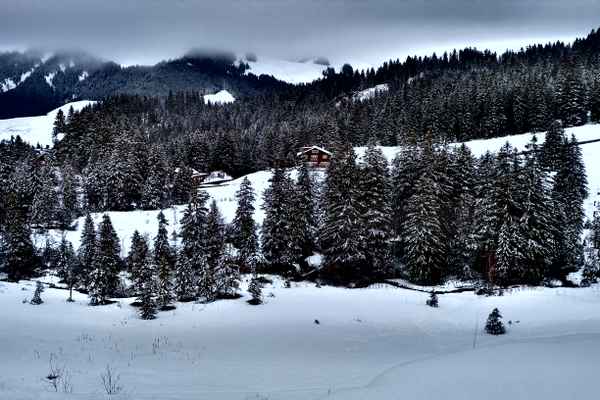 schneewinter