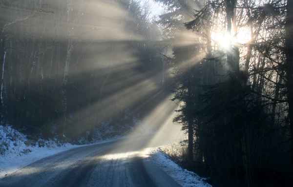 Lichtstrahlen im Nebel