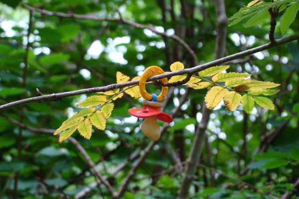 Im Wald verloren