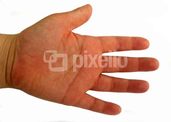 Kinderhand Handteller links