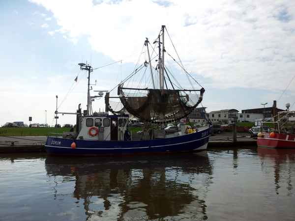 Im Fischereihafen Dorum 2
