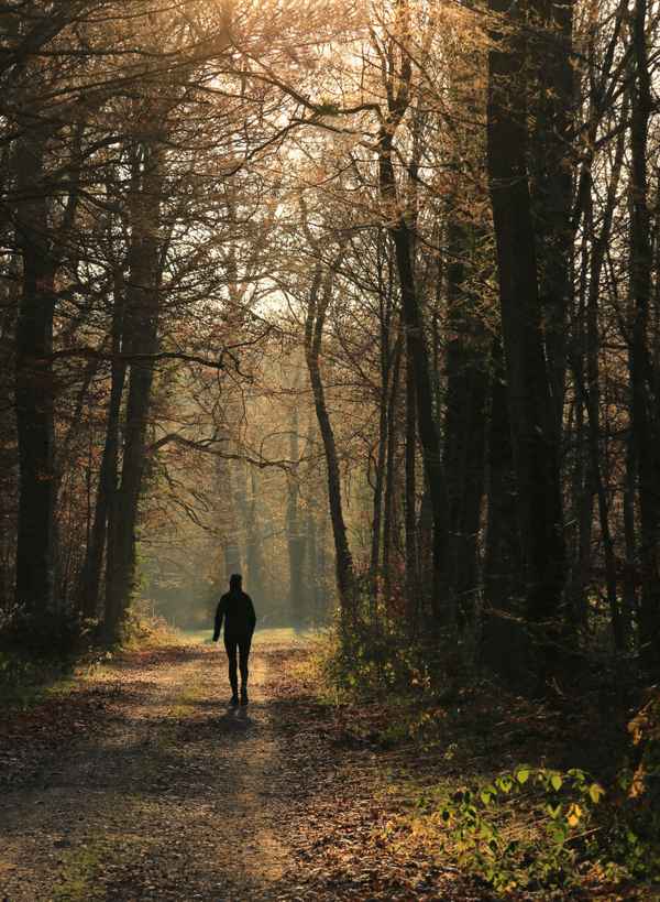 Frühsport im Novemberwald