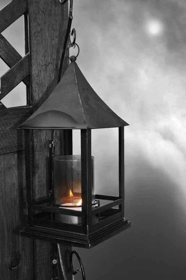 kleiner lichtblick im tristen grau