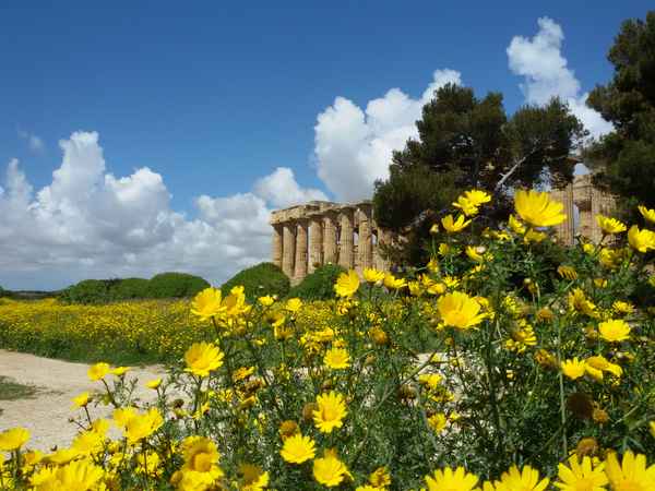 Frühling in der Tempelanlage bei Selinunte