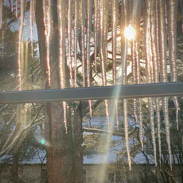 Eiszapfen im Sonnenlicht