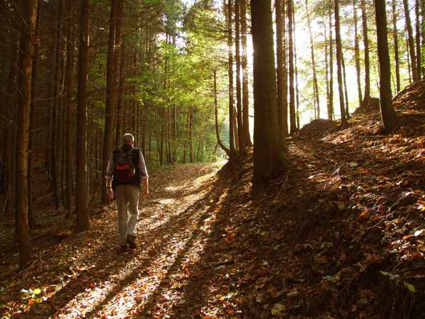 Wanderer in der Morgensonne