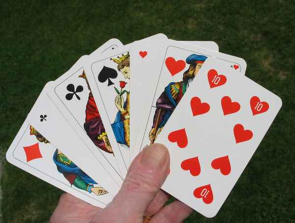 Des Schweizers liebstes Spiel