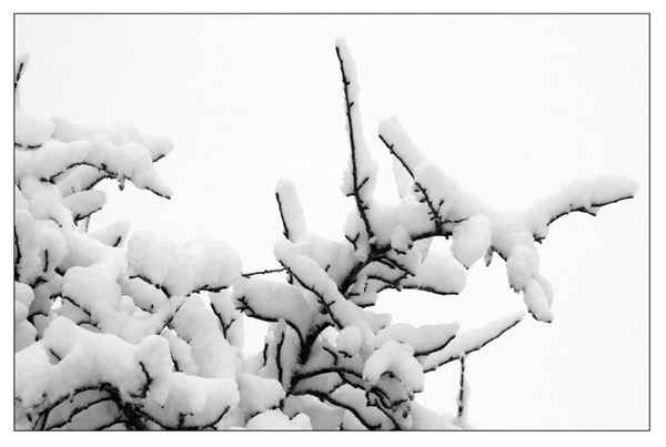 sw der Winter ist da 5