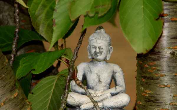 Buddha
