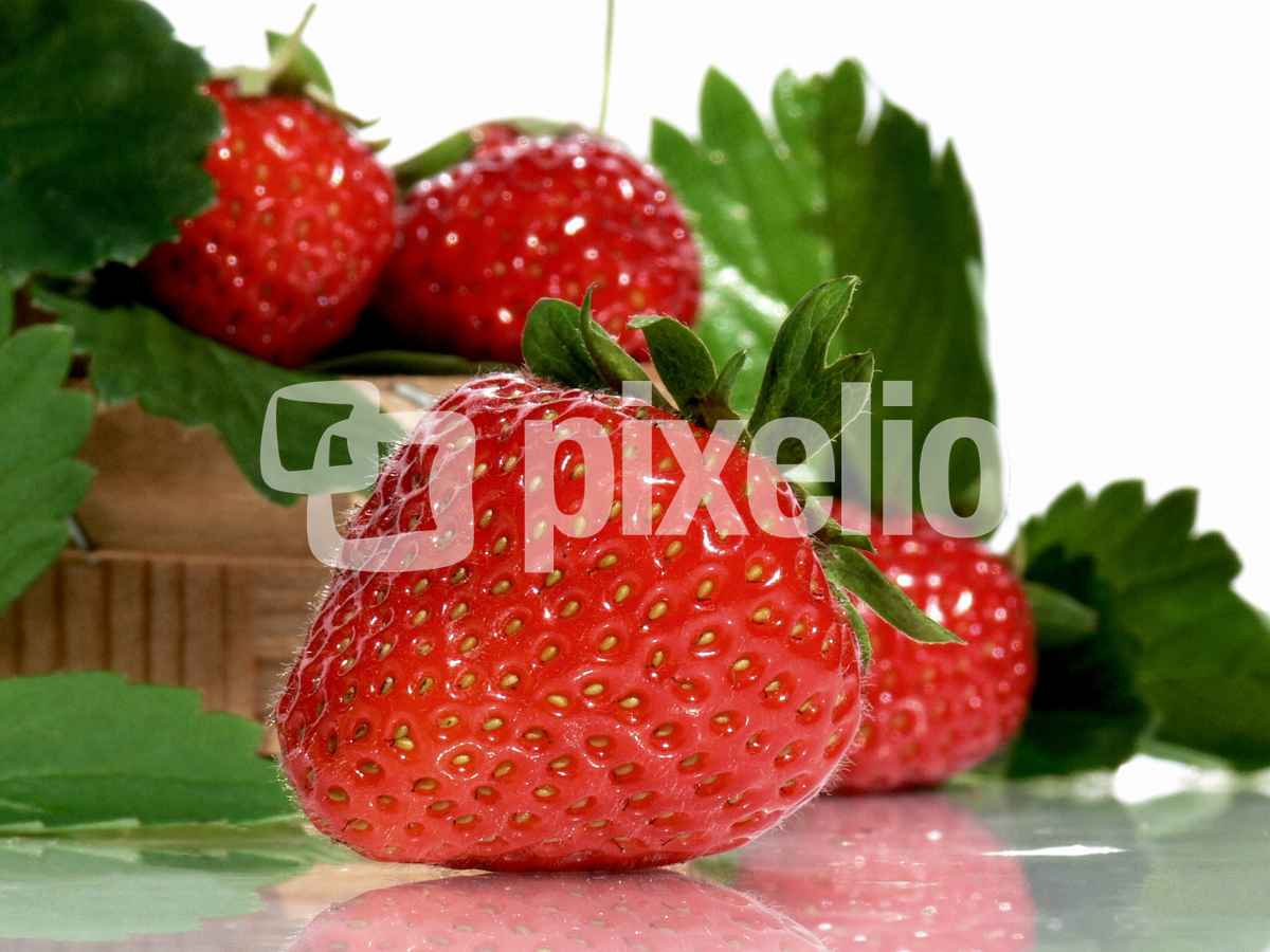 Strawberries (nur redaktionelle Nutzung)