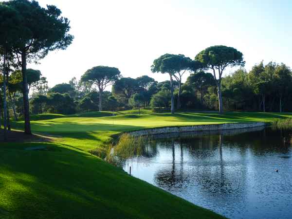 Grün 14 Carya Golf-Club, Belek