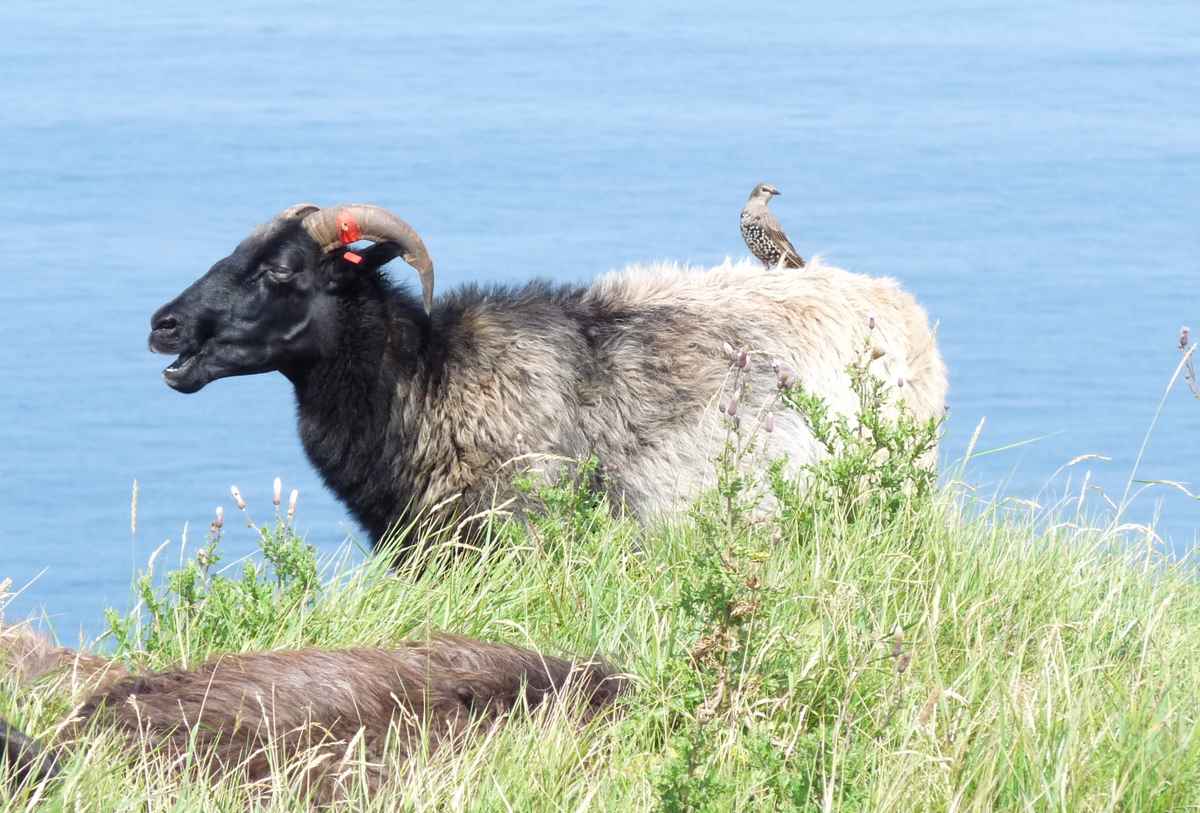 Gespräch zwischen zwei Freunden