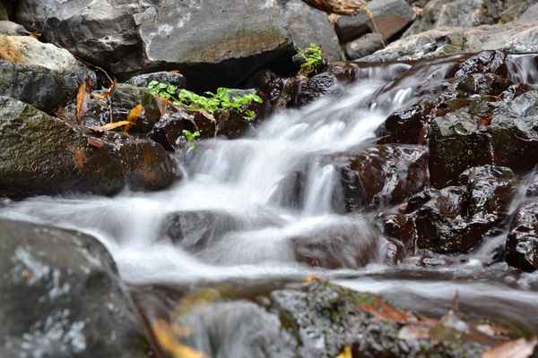 wildes Wasser