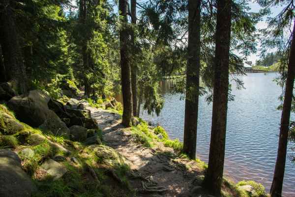 Rundweg am Mummelsee, Schwarzwald