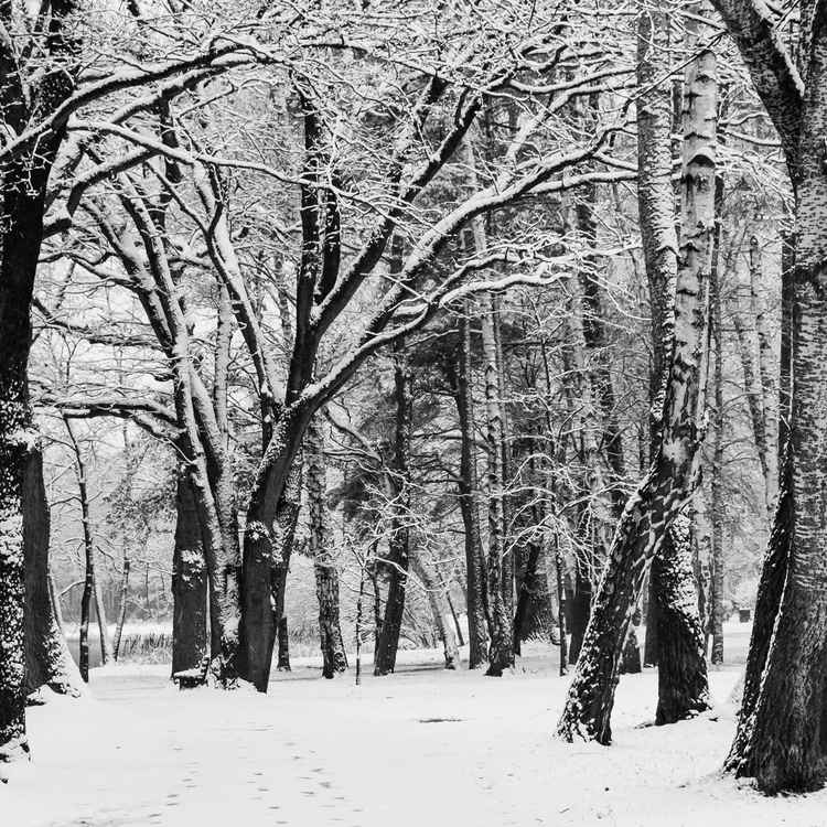 Winterliches Intermezzo
