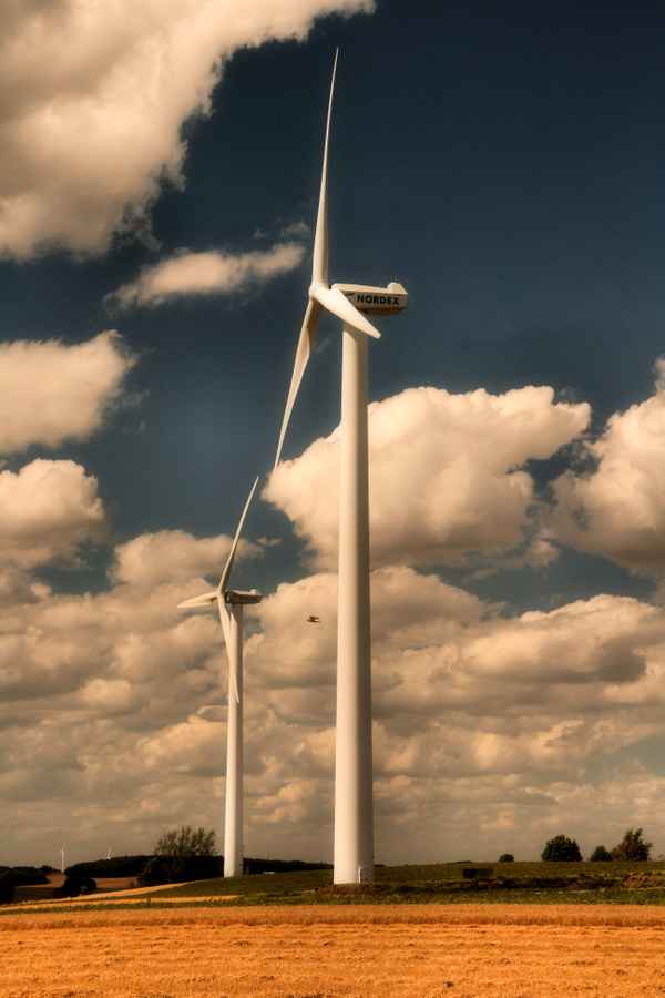 Immer im Wind