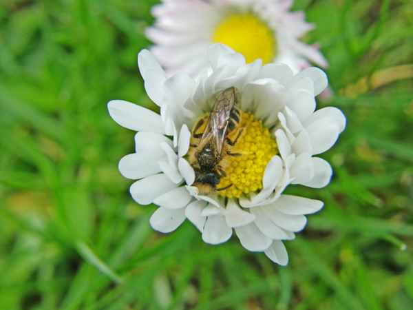 Ein schönes Schlafplätzchen