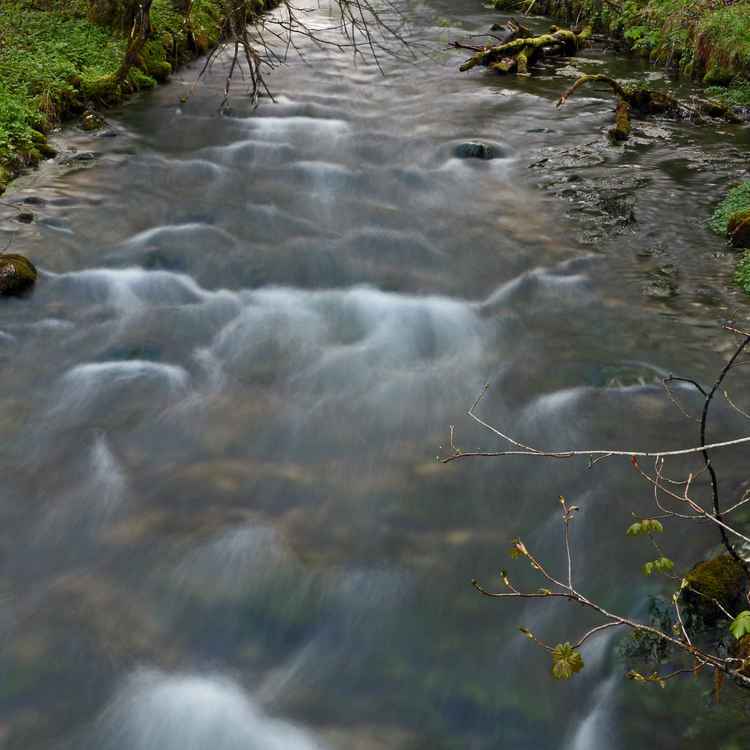 Förchenseebach