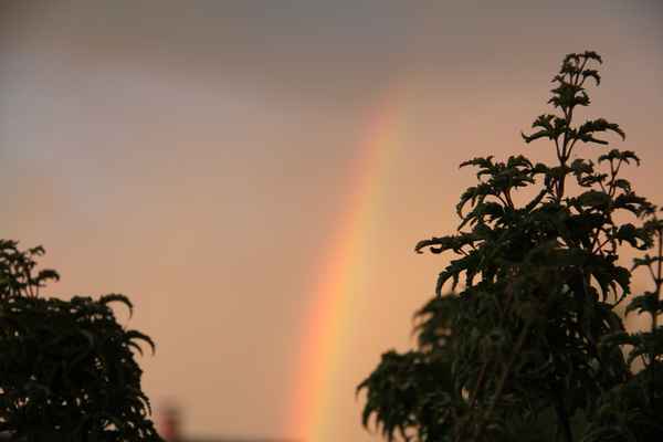 Regenbogen