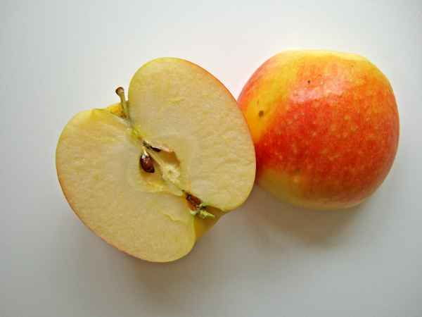 Apfel_1