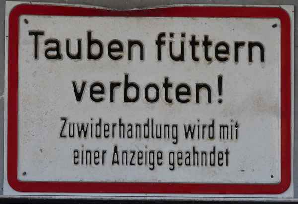 Tauben füttern verboten