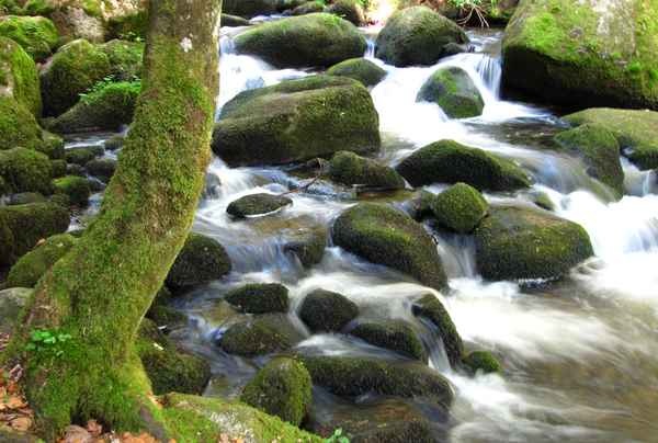 Triberger Wasserfall Oberteil_2