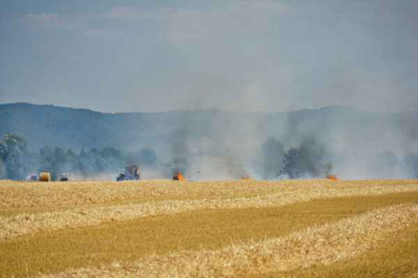 Flächenbrand durch Dürre