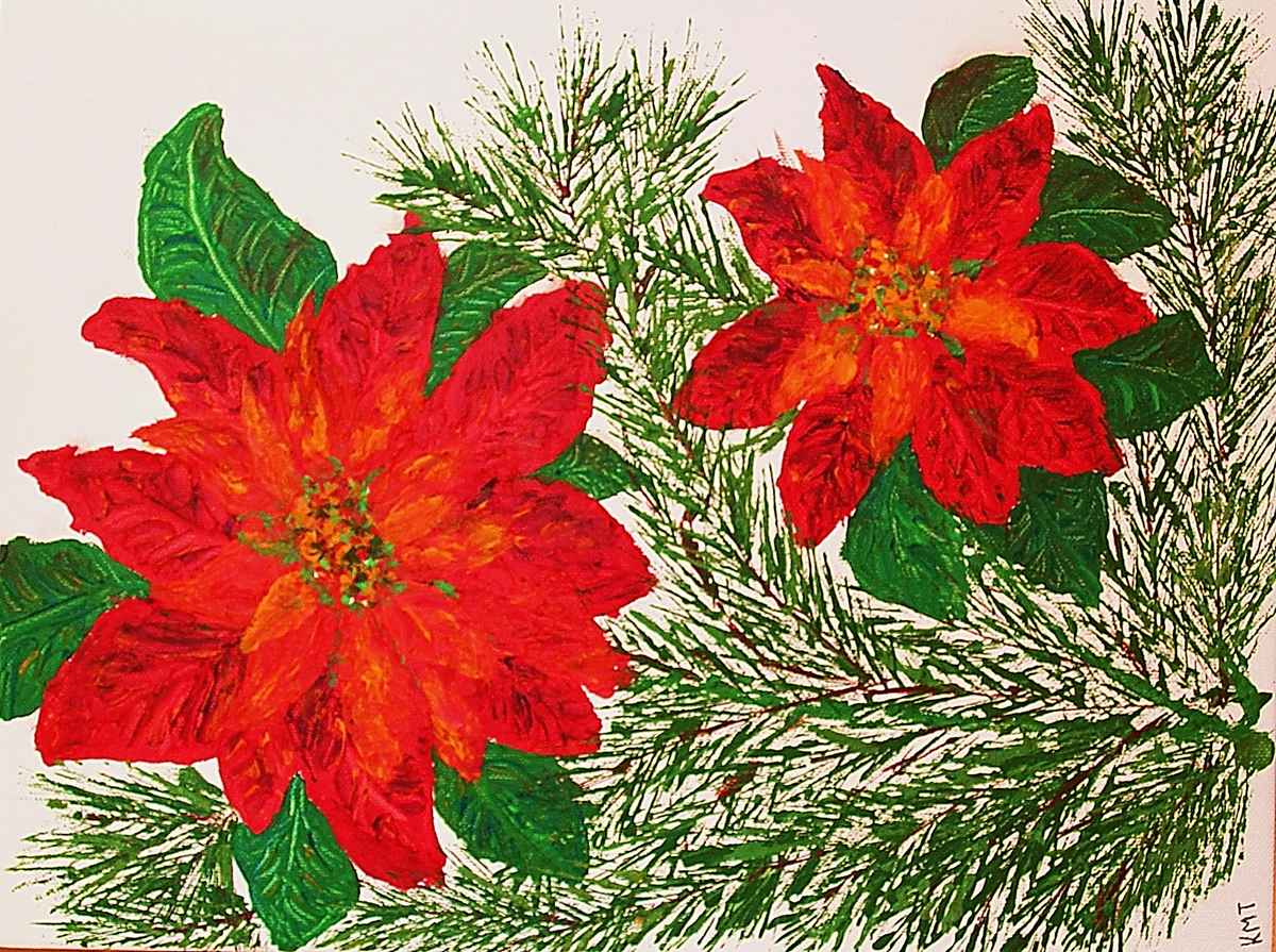 meine Weihnachtssterne 2007 für Euch