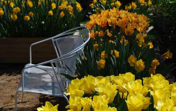 Blumensessel
