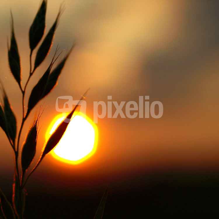 Die Sonne verabschiedet sich_2