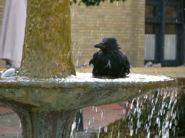 Wasser ist schön....