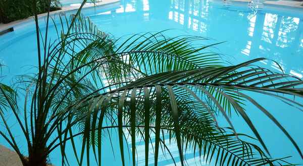 Wellness-Oase