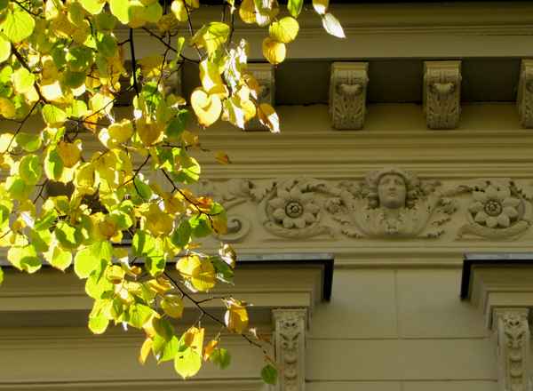 Licht und Schatten