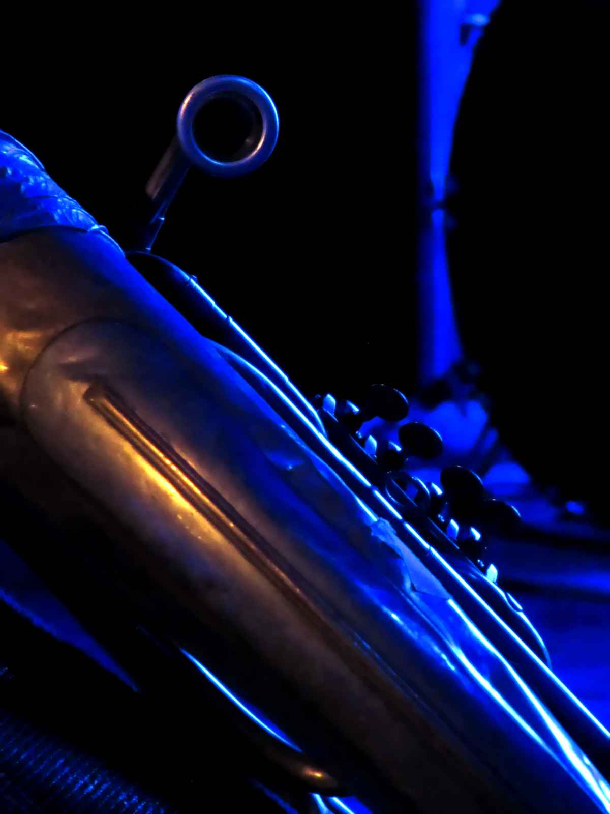 zur blauen Stunde - Tuba