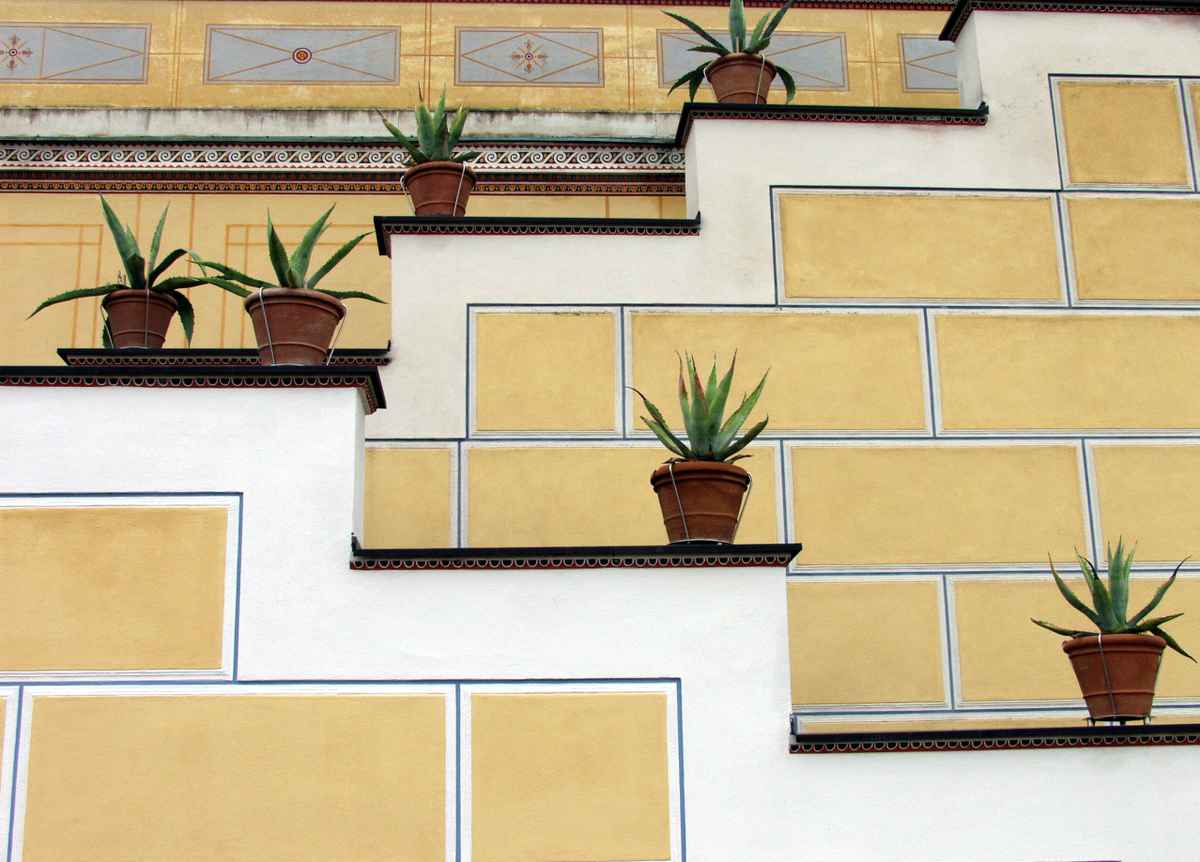 Kakteen treppauf treppab