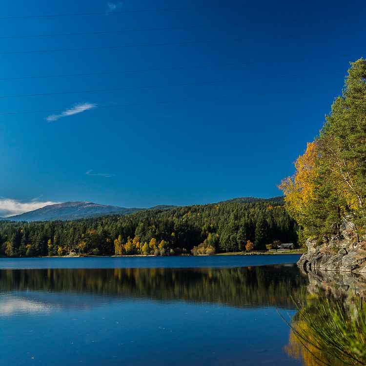 Am Forstsee 1
