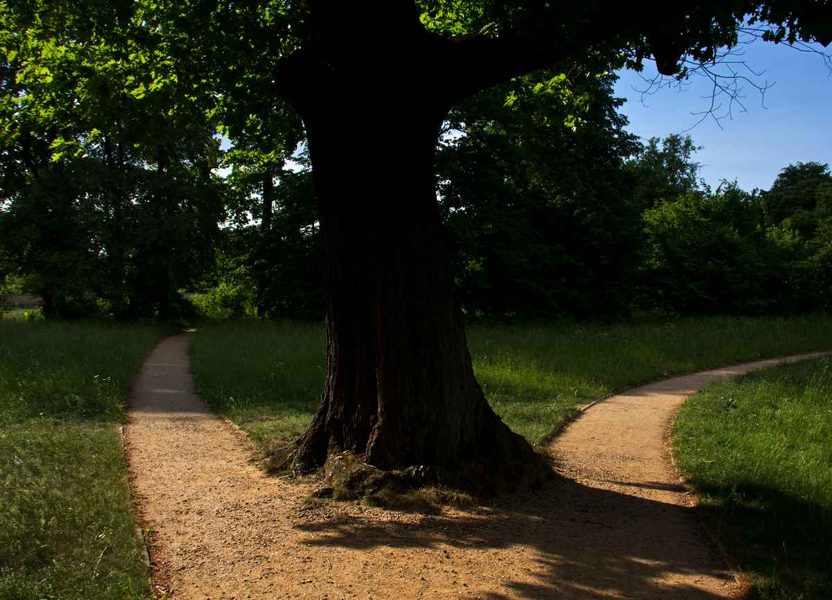 Wähle deinen Weg...