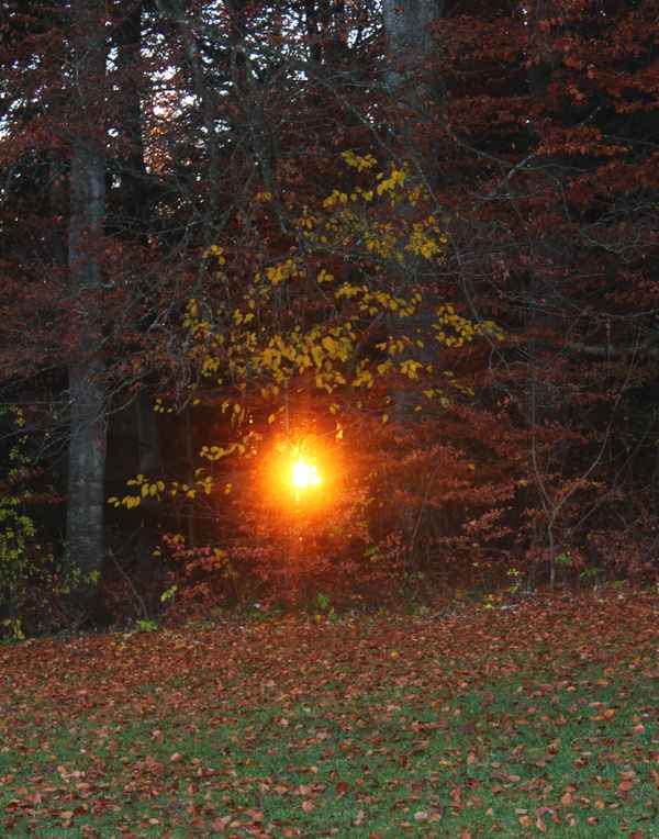 Feuerball