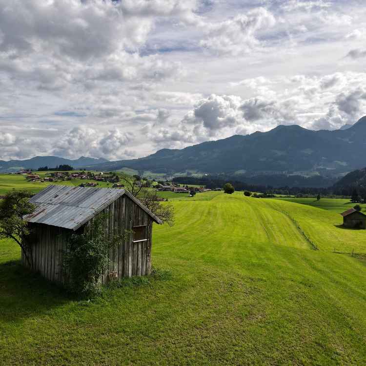 Bergwiesen im Allgäu